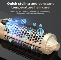 3-in-1 Hot Air Brush Hair Styler